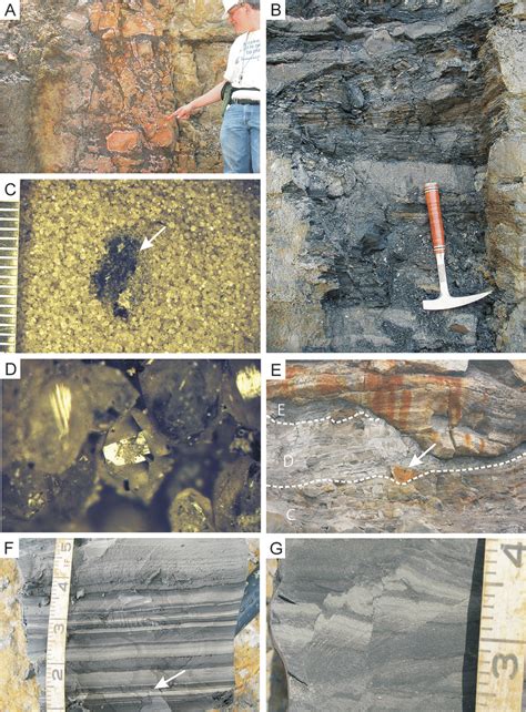 scott shale shaker mississppian limestone quarry chesterian|Stratigraphic and Facies Control on Porosity and Pore Types .